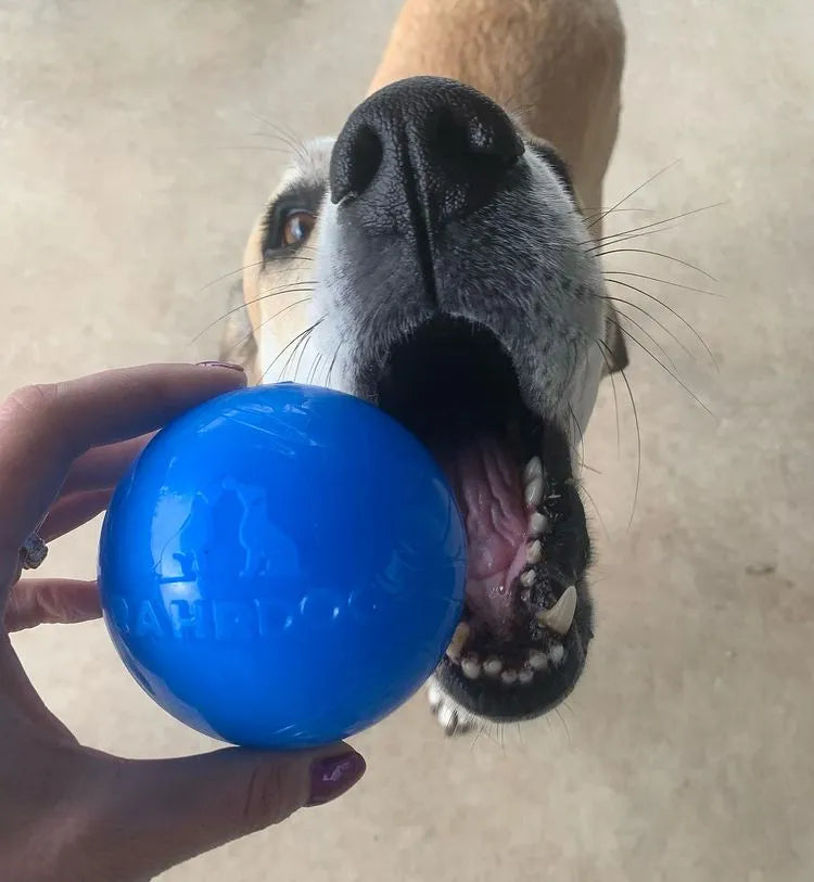 Shelter Pup RAHRDOG Ball (Donation)