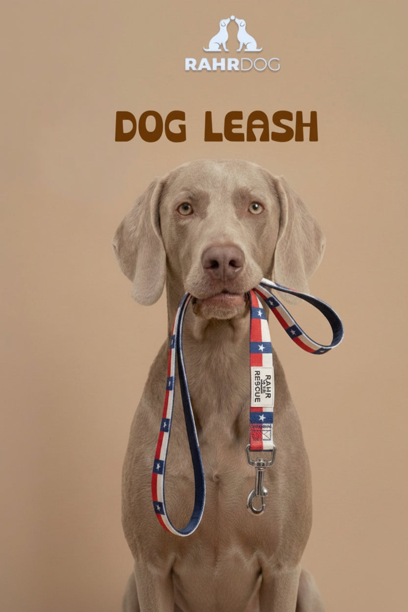 A gray dog holding a Rahr Dog leash in its mouth against a solid beige background, with the text 'DOG LEASH' and a 'SHOP NOW' button.