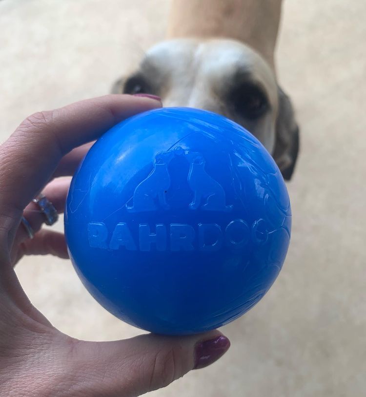 RAHRDOG Ball